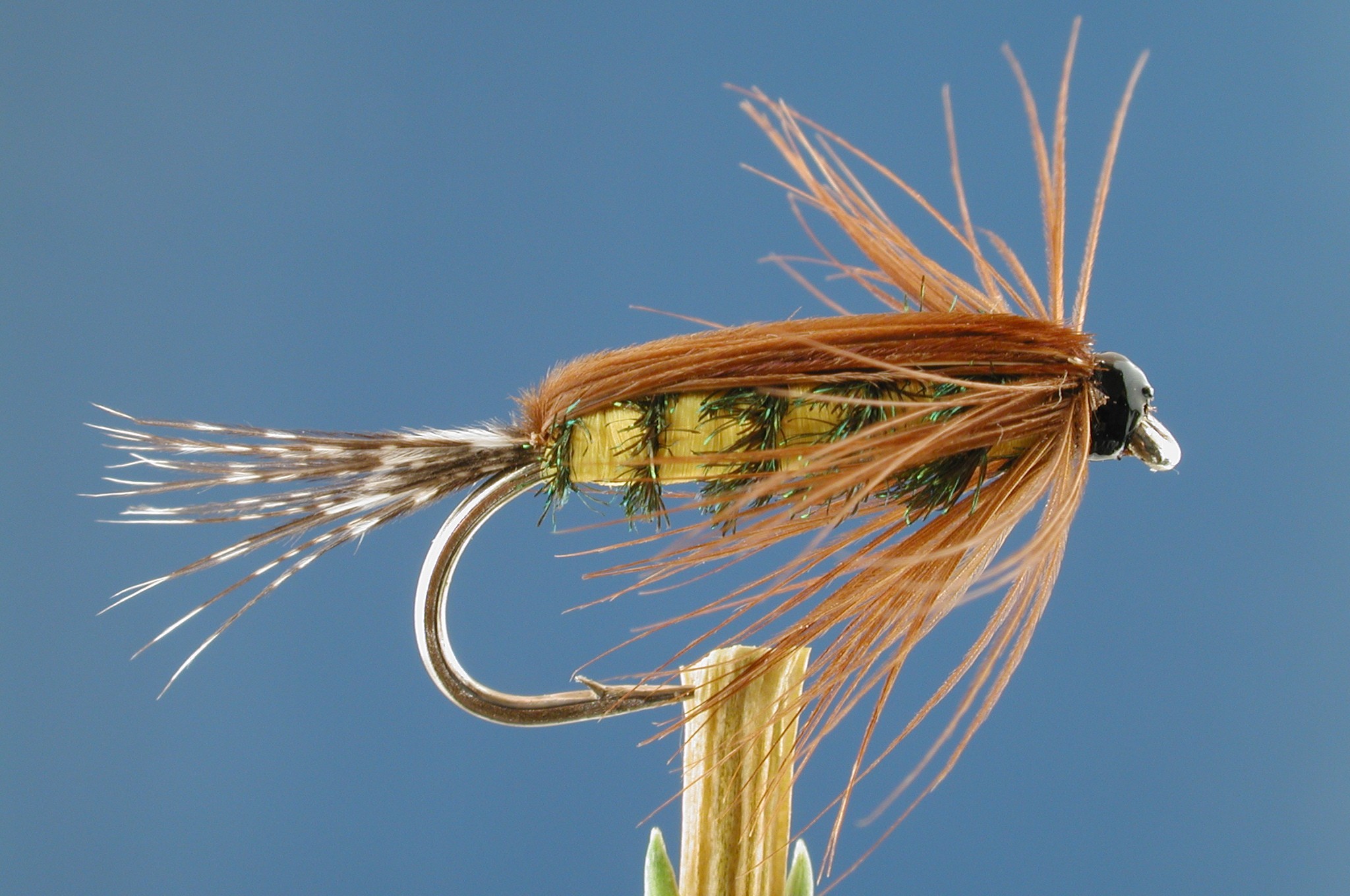 Tellico Nymph Fly - Fishing Flies with Fish4Flies UK